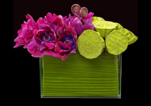 VIBRANCE AND CHAOS: The importance of flowers