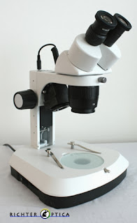 hobbyist microscope