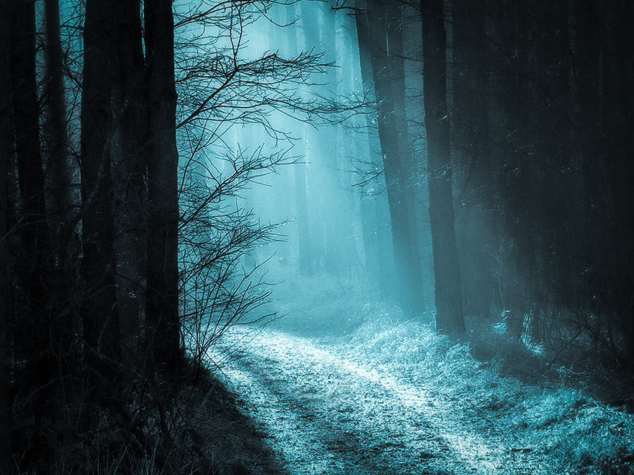 21+ خلفيات فوتوشوب Jpg Pics