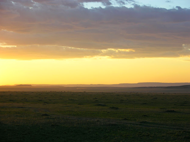 Serengeti, Afrika Serengeti, Afrika