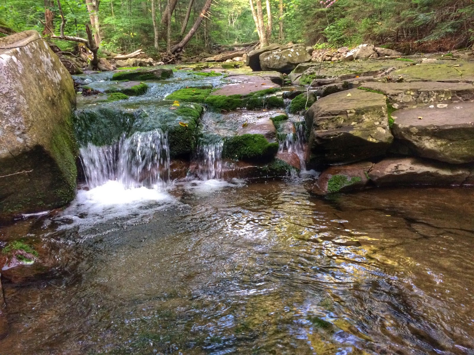 NJ/NY Hikes Catskills East Branch Neversink River