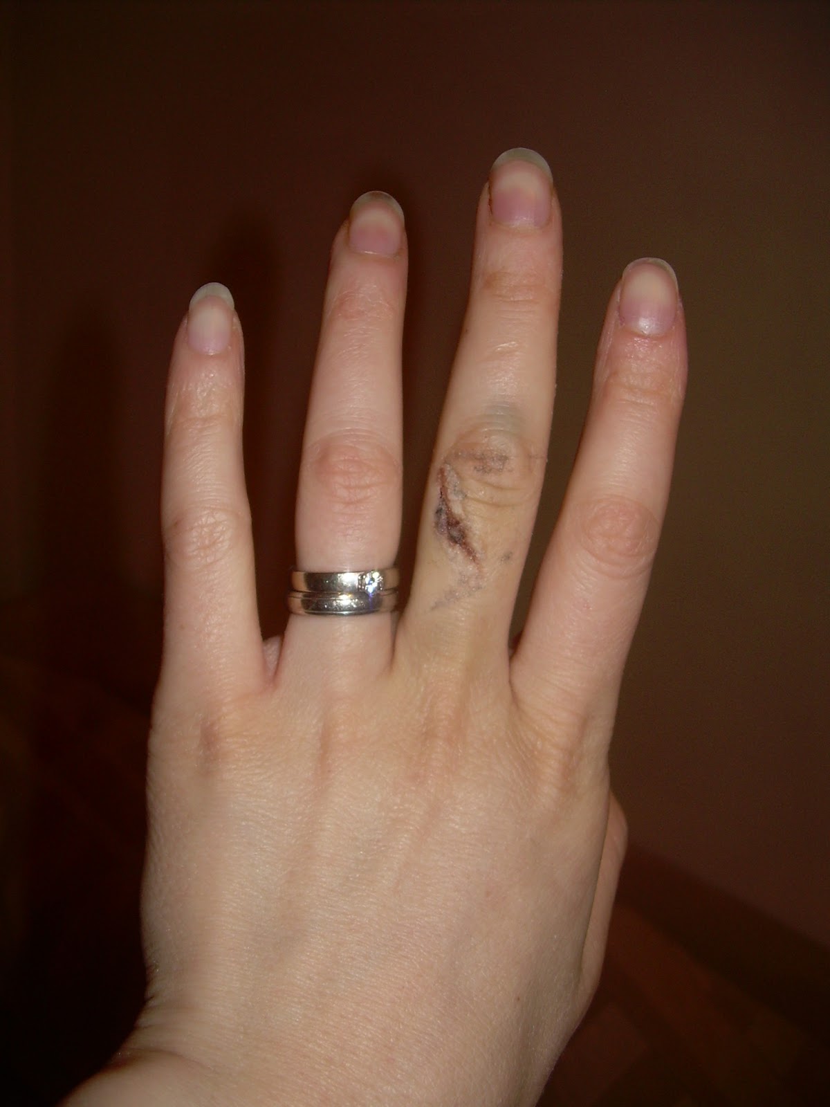 Life, Unexpectedly February 2013