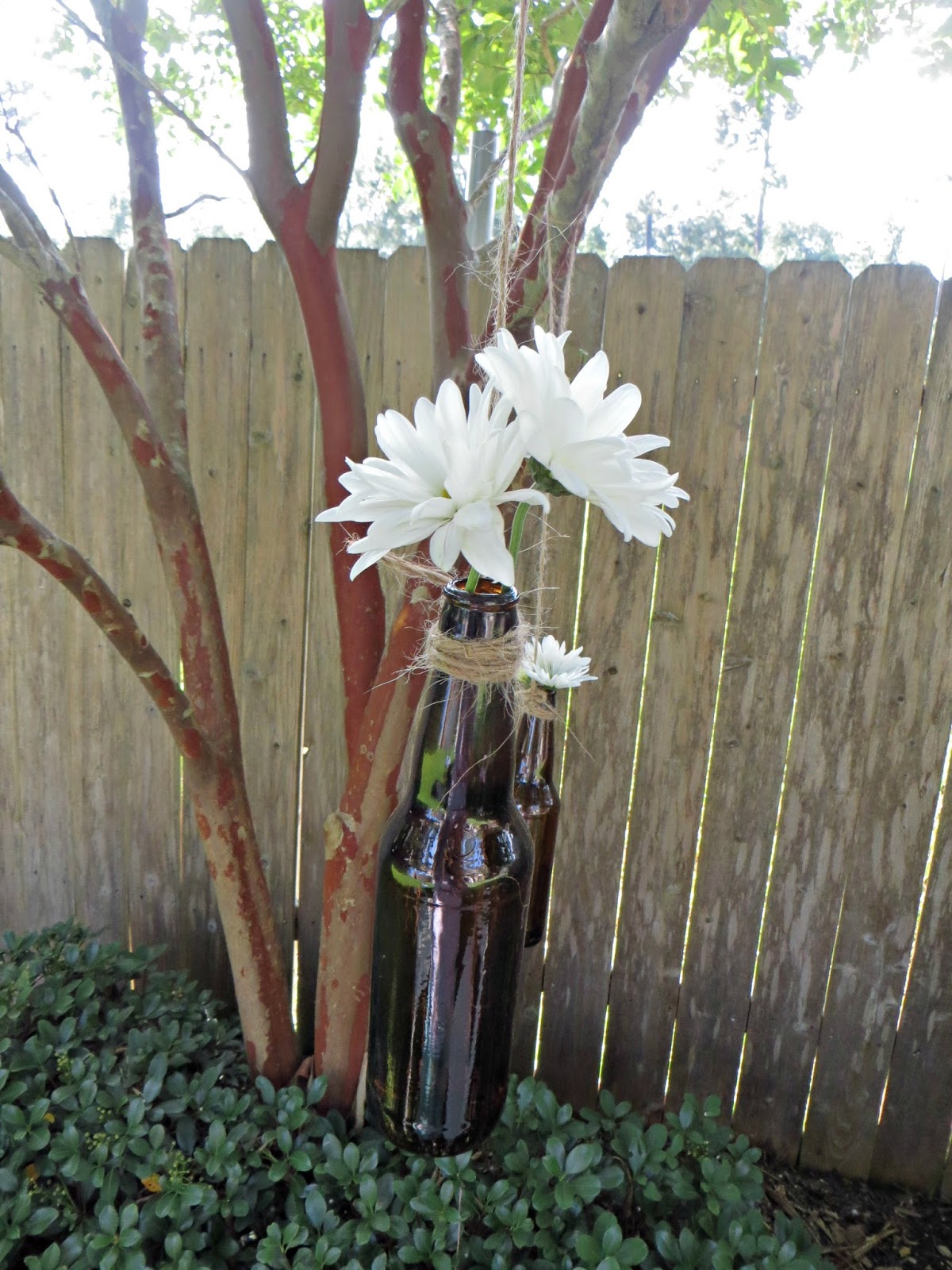 Crafty in Crosby Easy JackOLantern Vases