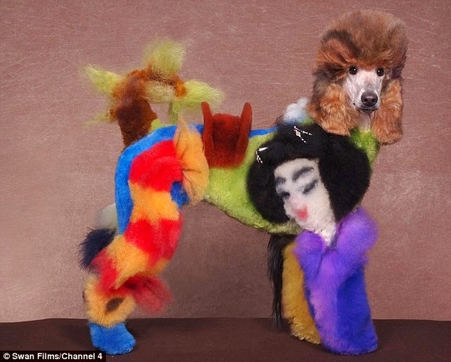 Dogs Groomed Like Other Animals Dogs Groomed Like Other Animals