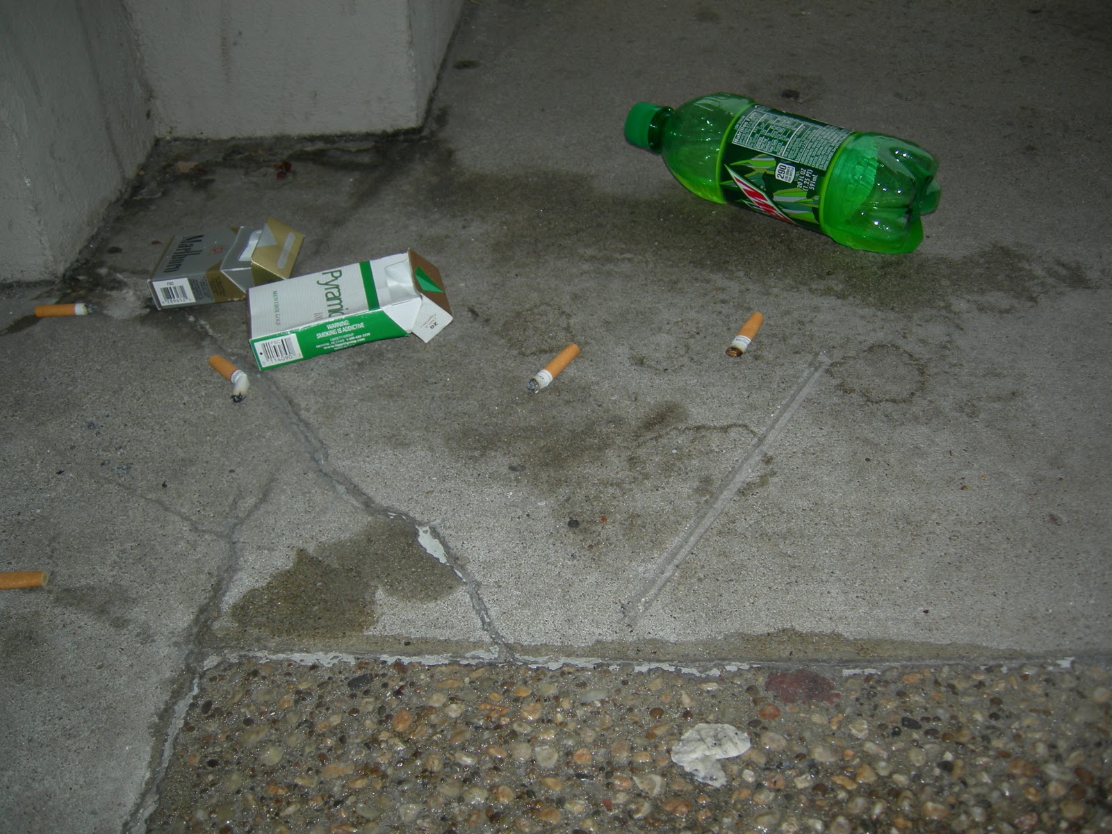 Alex Letters: Writing a Problem-Solution Essay: Litter no more!