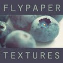 Buy Flypaper Textures Here