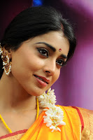 Gorgeous, Shriya, @, Pavithra, Movie, Launch
