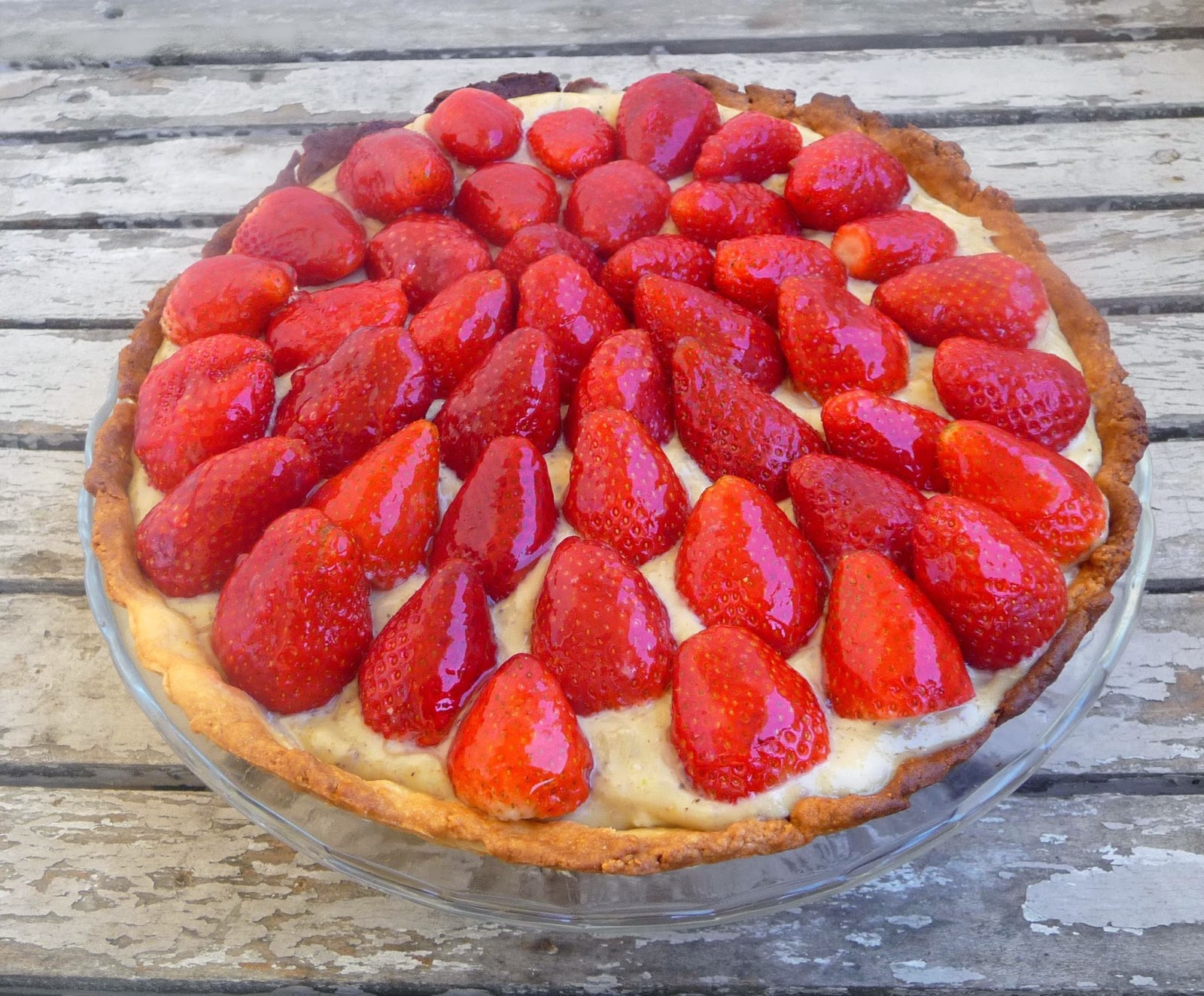 Fenetre Sur Mes Photos Hydrangea Paniculata Sundae Fraise