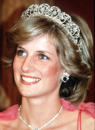 princess diana car crash photos. princess diana car crash pics.