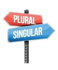 Singular Noun and Plural Noun (Kata Benda Tunggal dan Kata Benda Jamak