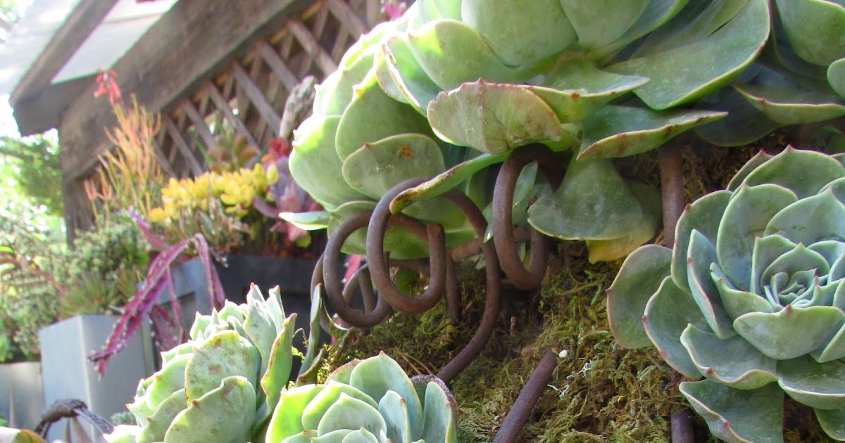 eclectic chic. rolling greens.