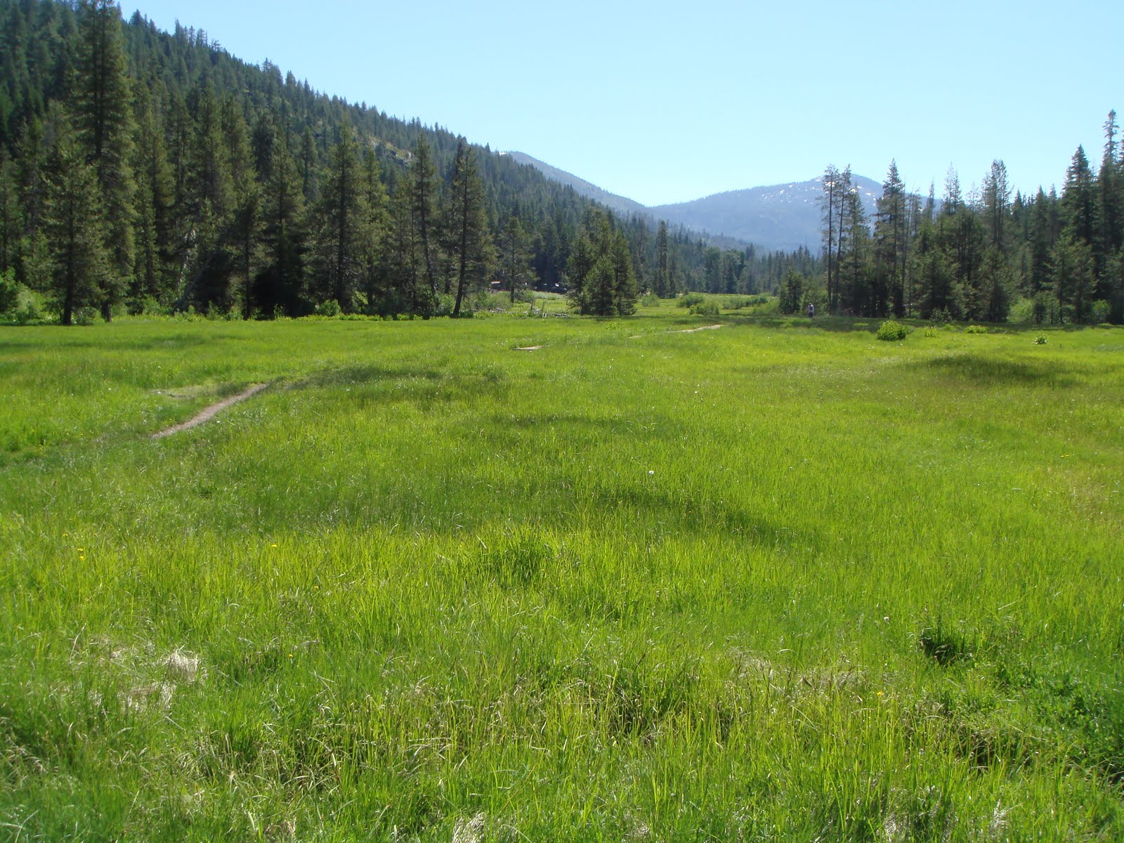 Tom Cochrun /Light Breezes MOUNTAIN MEADOWS