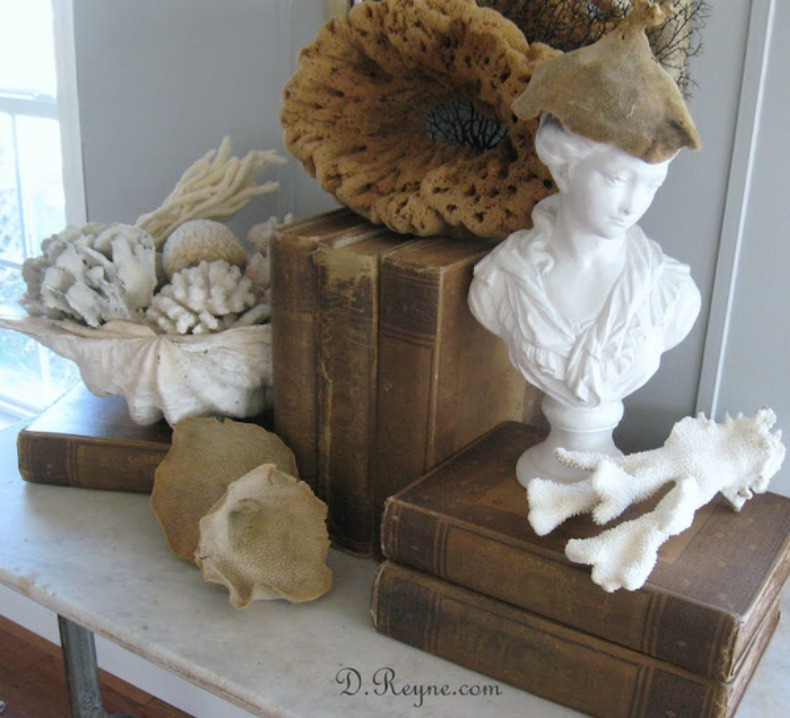 How to guide Display your coastal collections