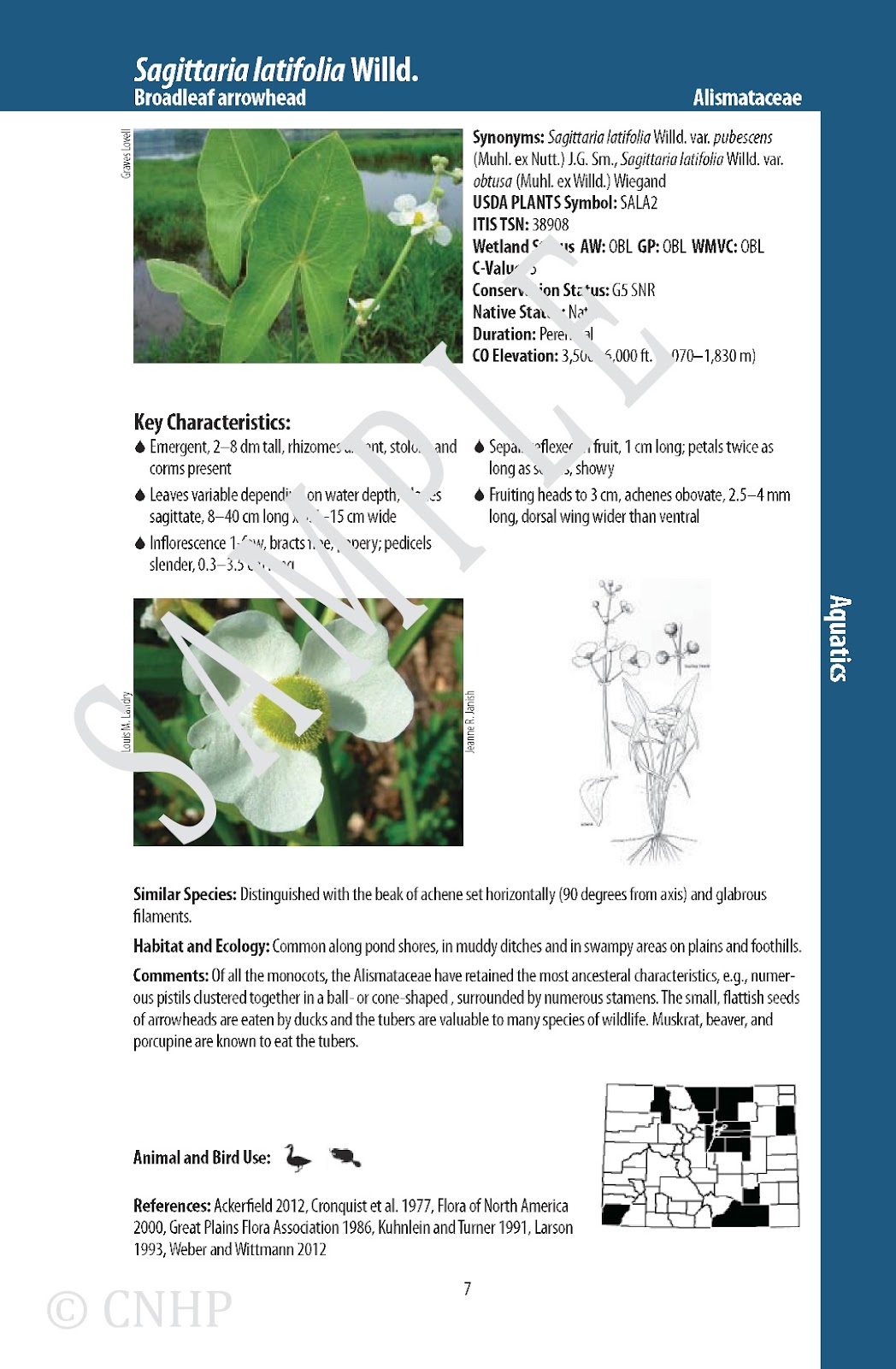 CNHP Blog Preorder the new wetland plant field guide