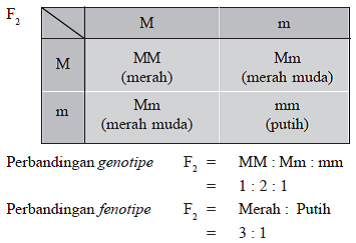 Contoh Persilangan Monohibrid