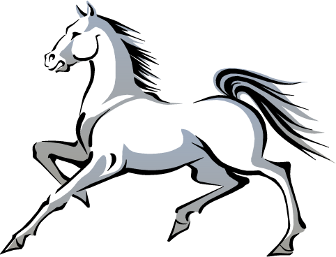 2014 Año chino del caballo - blanco