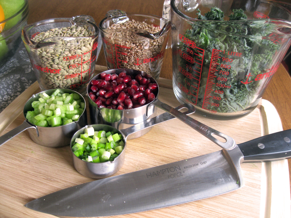 Amy's Nutritarian Kitchen Pomegranate, Lentil, and Wheat Berry Salad