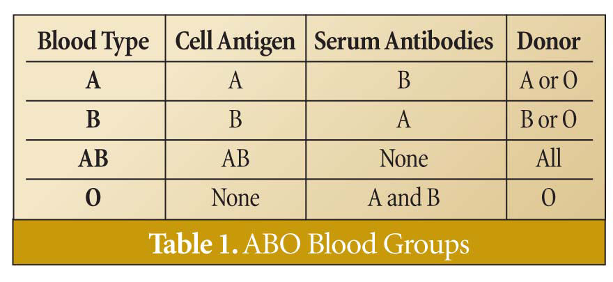 medical laboratory technology sop abo grouping blood types and antibodies chart