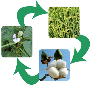 11008401_487809768038039_366979436896073