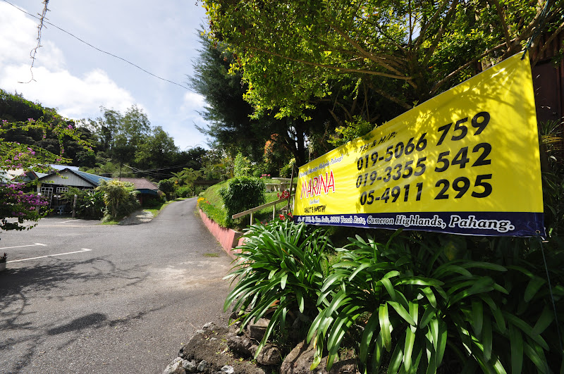 Mrkumai Blogspot Com Pilihan Penginapan Homestay Di