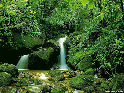 Natural Waterfall Wallpaper for Desktop