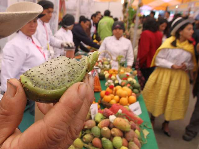 Periódico El Nuevo Halcón: CUÁNDO COMER FRUTA: ¿ANTES O Periódico El Nuevo Halcón: CUÁNDO COMER FRUTA: ¿ANTES O