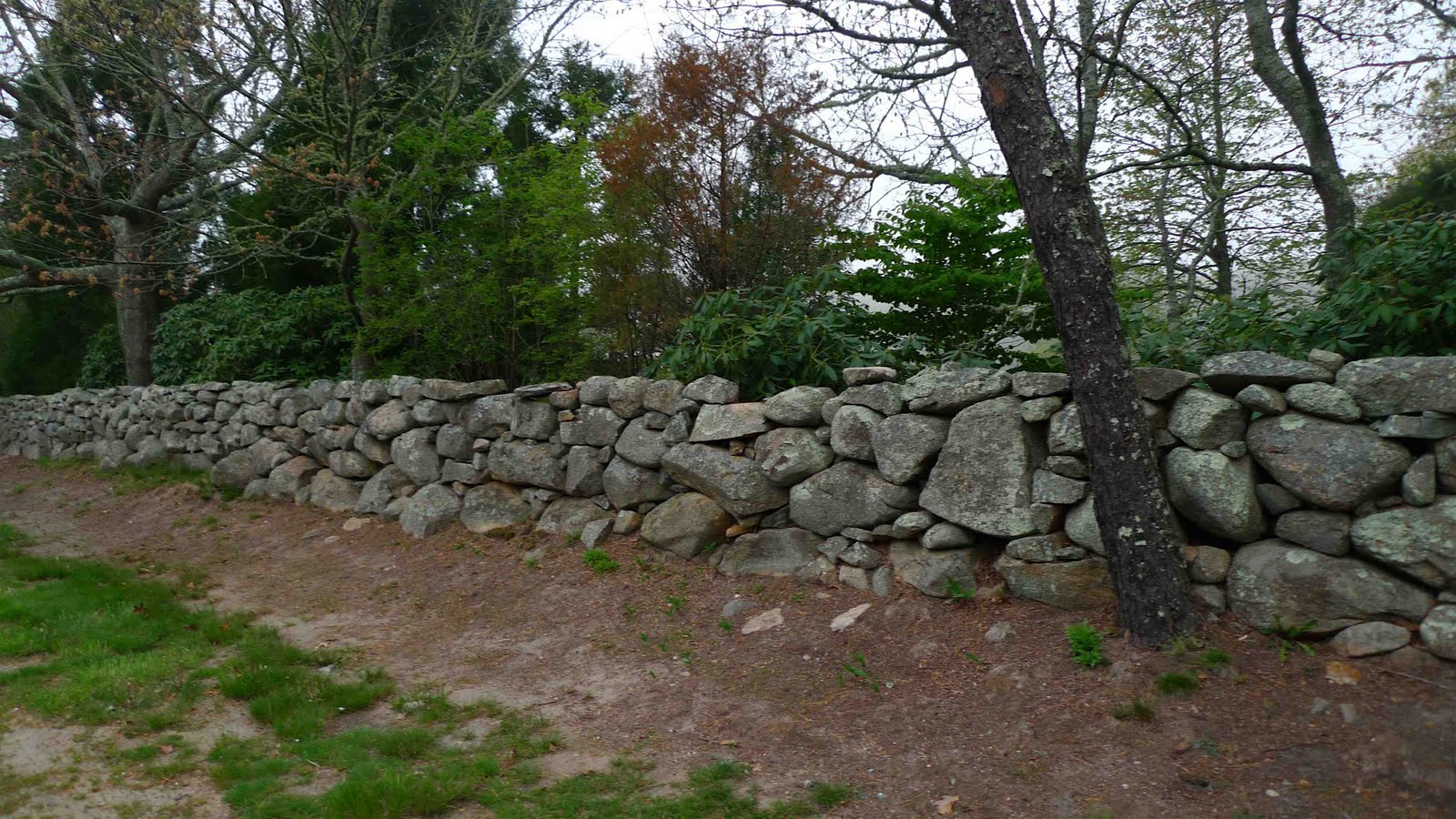 http://2.bp.blogspot.com/-nEE376H71KA/TgjlLqwMq5I/AAAAAAAAARA/mXBt2TFx664/s1600/Wall+%2526+Shrubs.jpg