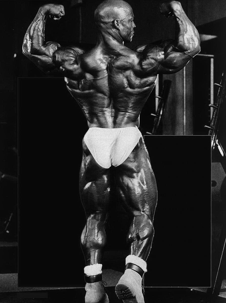 bodybuildinguniversmuscle bodybuilding shawn ray