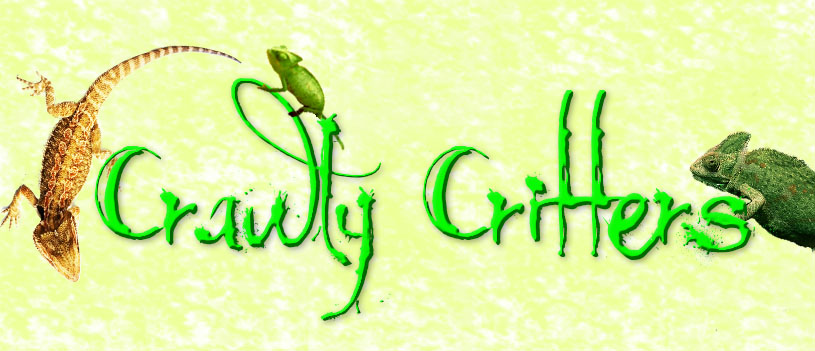 Crawly Critters