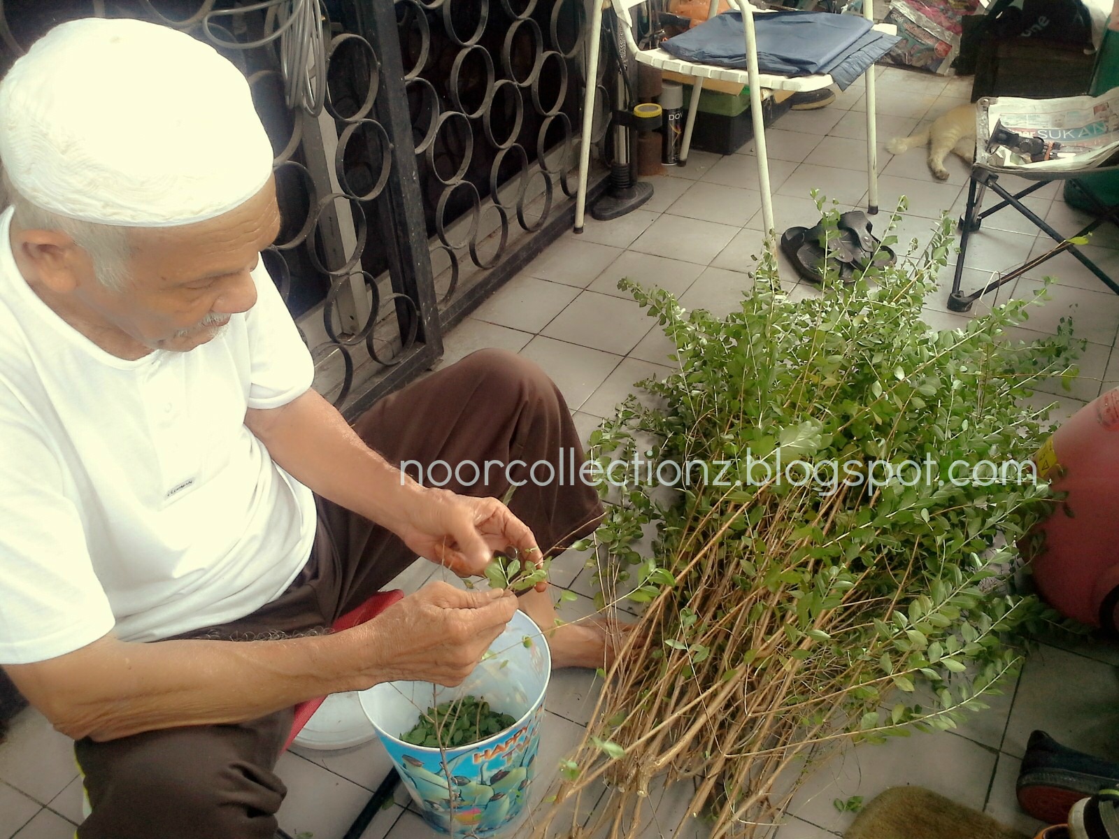 PERKHIDMATAN UKIRAN INAI PENGANTIN Henna Inai Daun Buat Pengantin PERKHIDMATAN UKIRAN INAI PENGANTIN Henna Inai Daun Buat Pengantin