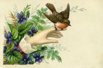 Victorian Hand  Robin  Violets