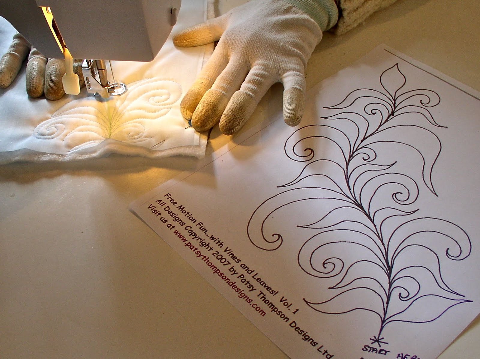 The Harlan Valley Quilters Free Motion Quilting.....Class