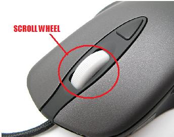 Computer Mouse - Scroll Click