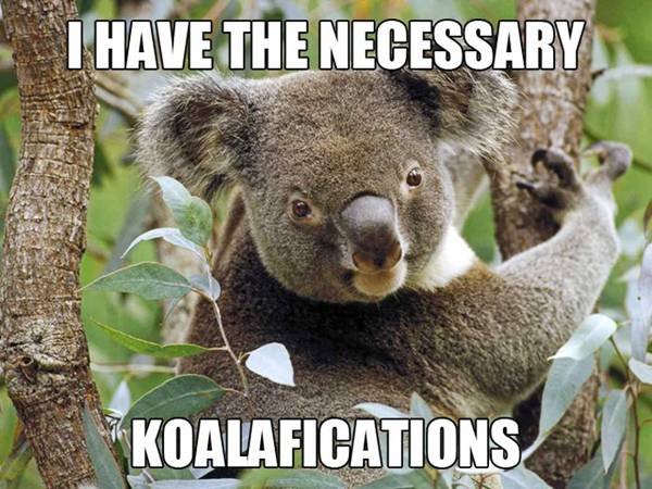 10 Funny Animals Sayings.