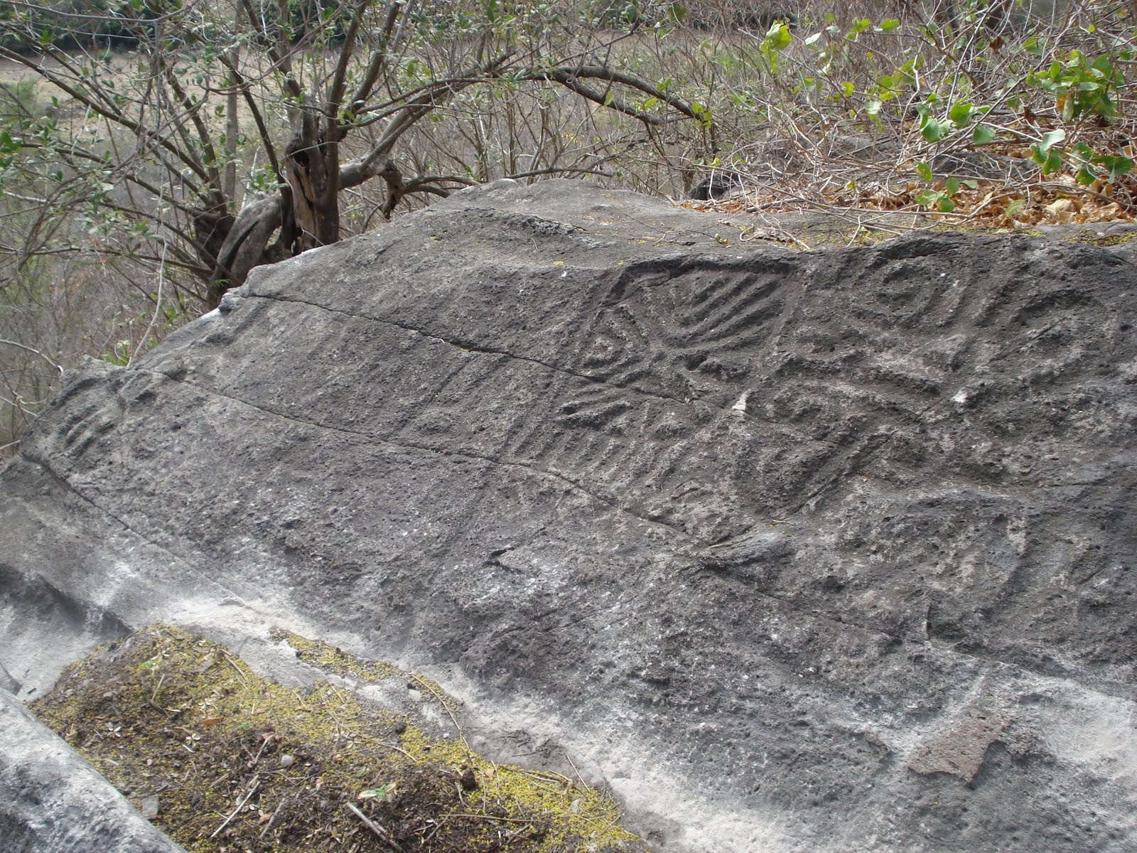 PUERTA NORTE DESCUBREN NUEVOS PETROGRABADOS EN EL CERRO DE