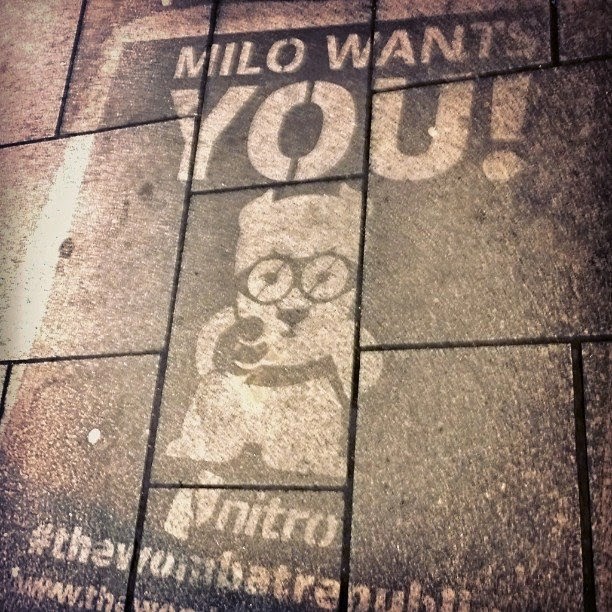 Milo wants you wombat