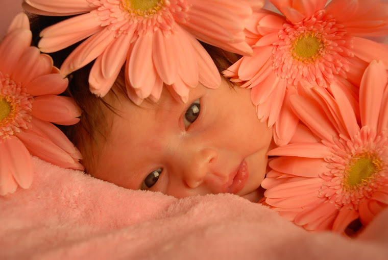 A pequena Maria Eduarda...a mais bela flor nesse ramalhete  na cor dos sonhos  ...