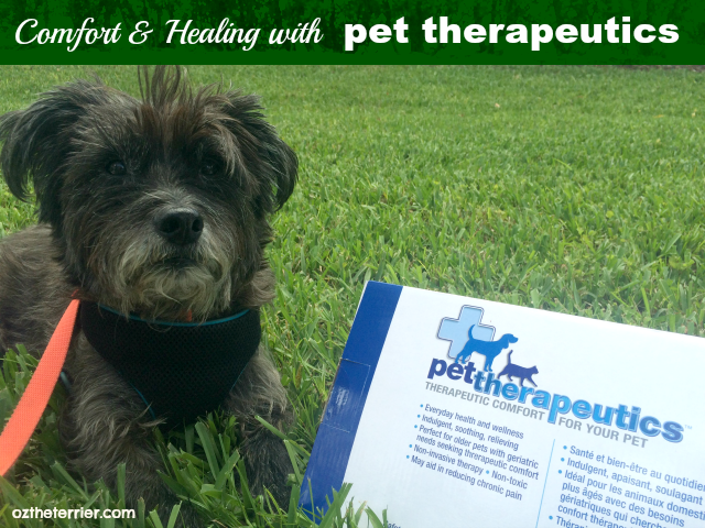Comfort and Healing with Pet Therapeutics pet pads