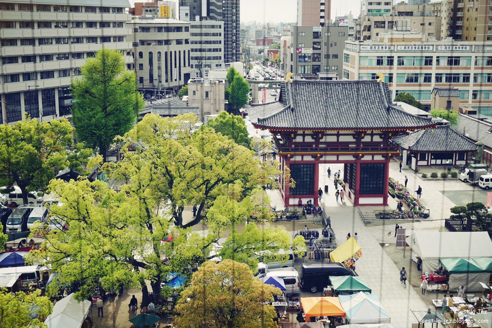 天王寺 中学校 四