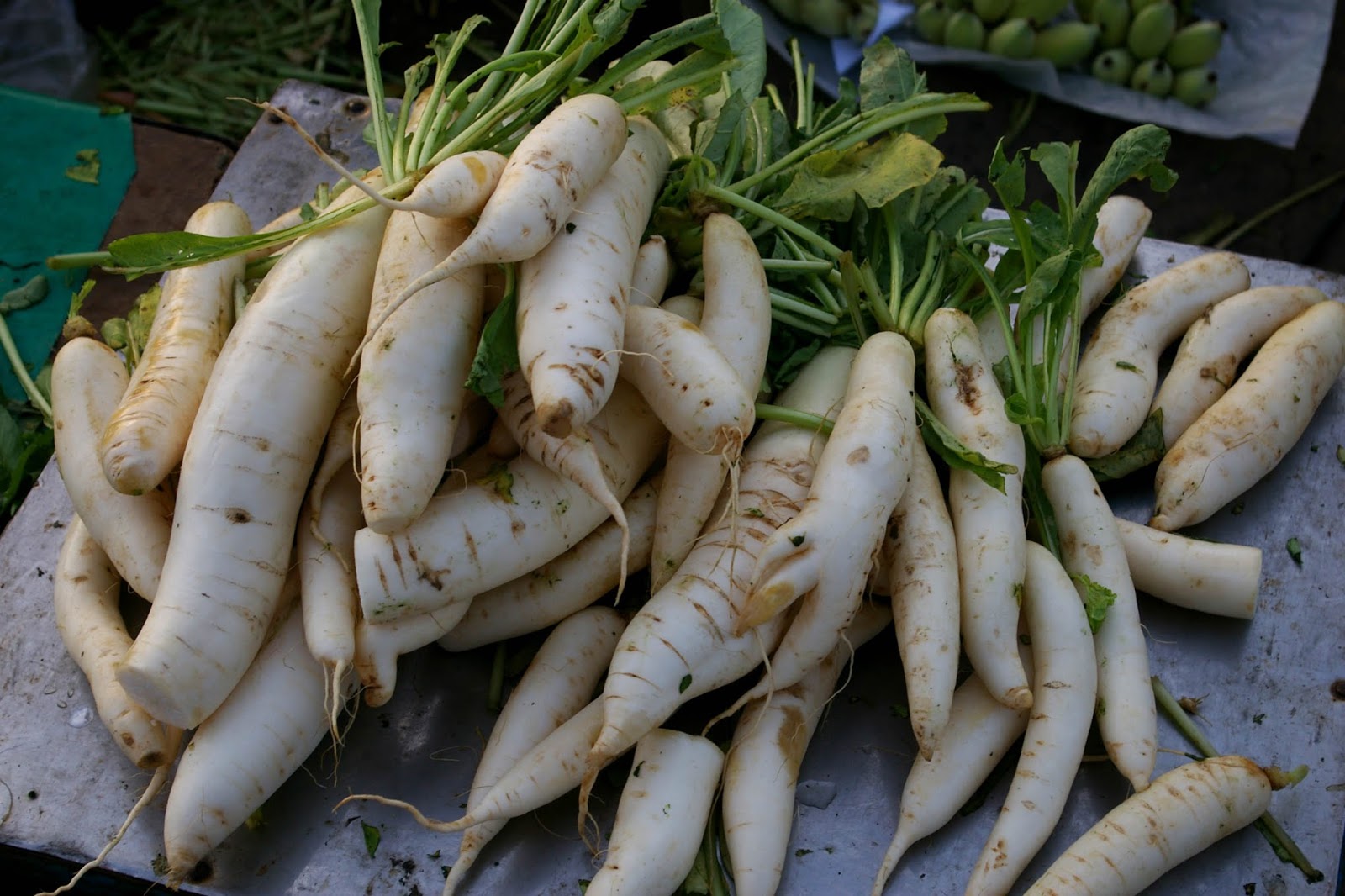 HOW TO GROW CHINESE RADISH FROM SEED The Garden of Eaden