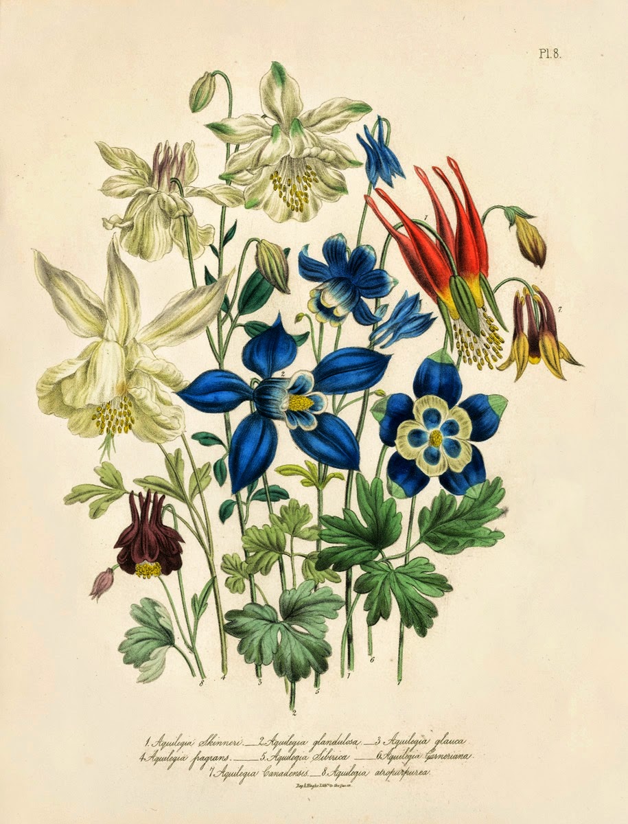 Infotainment @ www.keralites.net Fun & Info @ Keralites.net