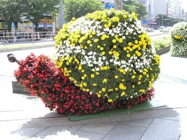 Scultura vegetale | L'arte Topiaria