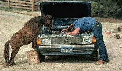 http://2.bp.blogspot.com/-nJdPhdtC1aI/UMc1gmIUDvI/AAAAAAAAC38/bBMZt7cSSYs/s1600/horse-fixes-car.jpg