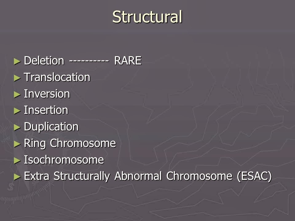 Slide 32