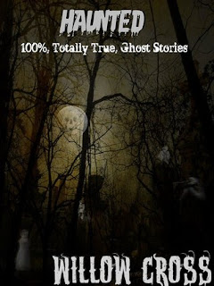https://www.goodreads.com/book/show/12956854-haunted?ac=1