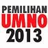 Pemilihan UMNO 2013