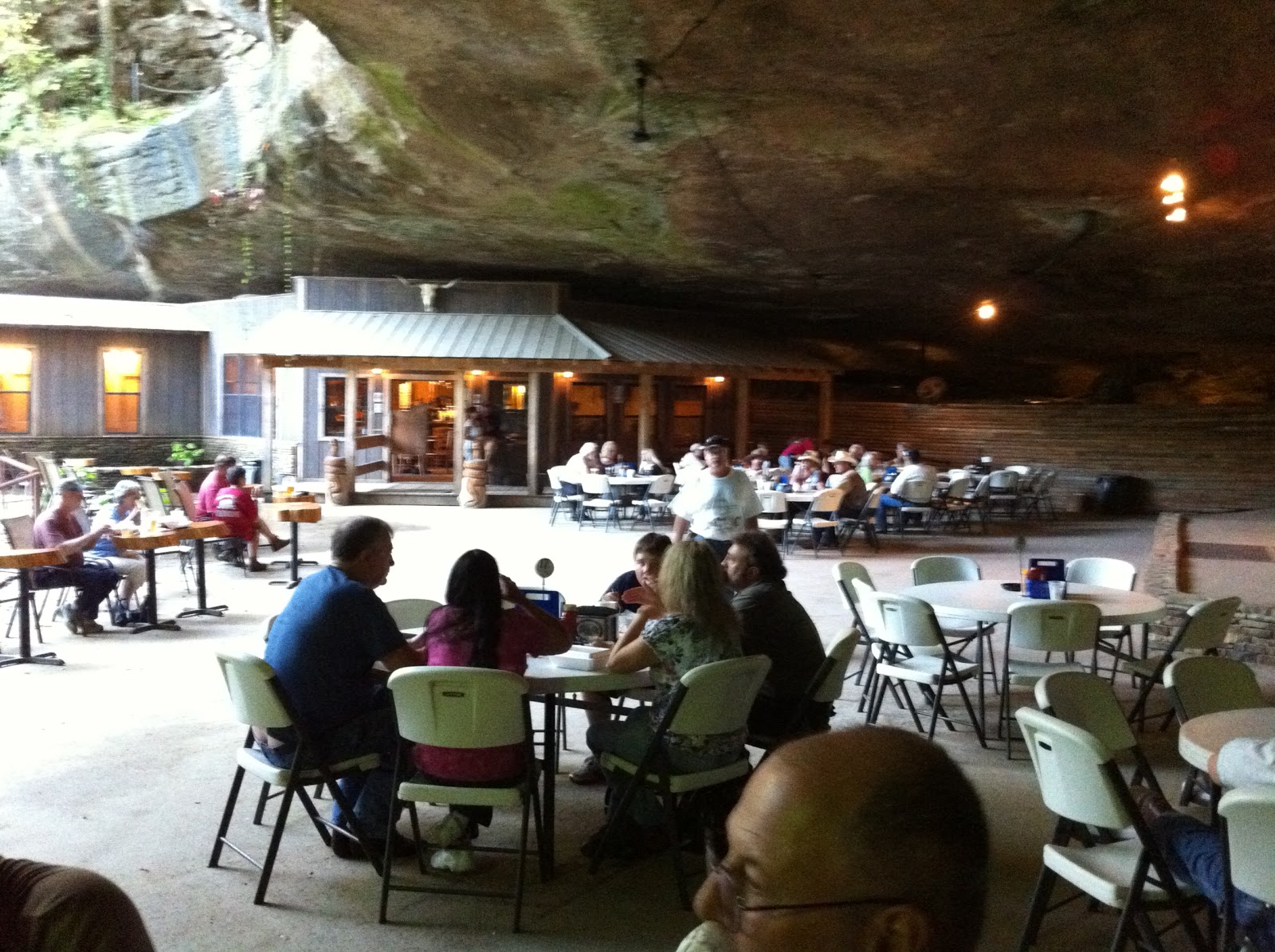 The Roadrunner Chronicles: Evenings at the Rattlesnake Saloon