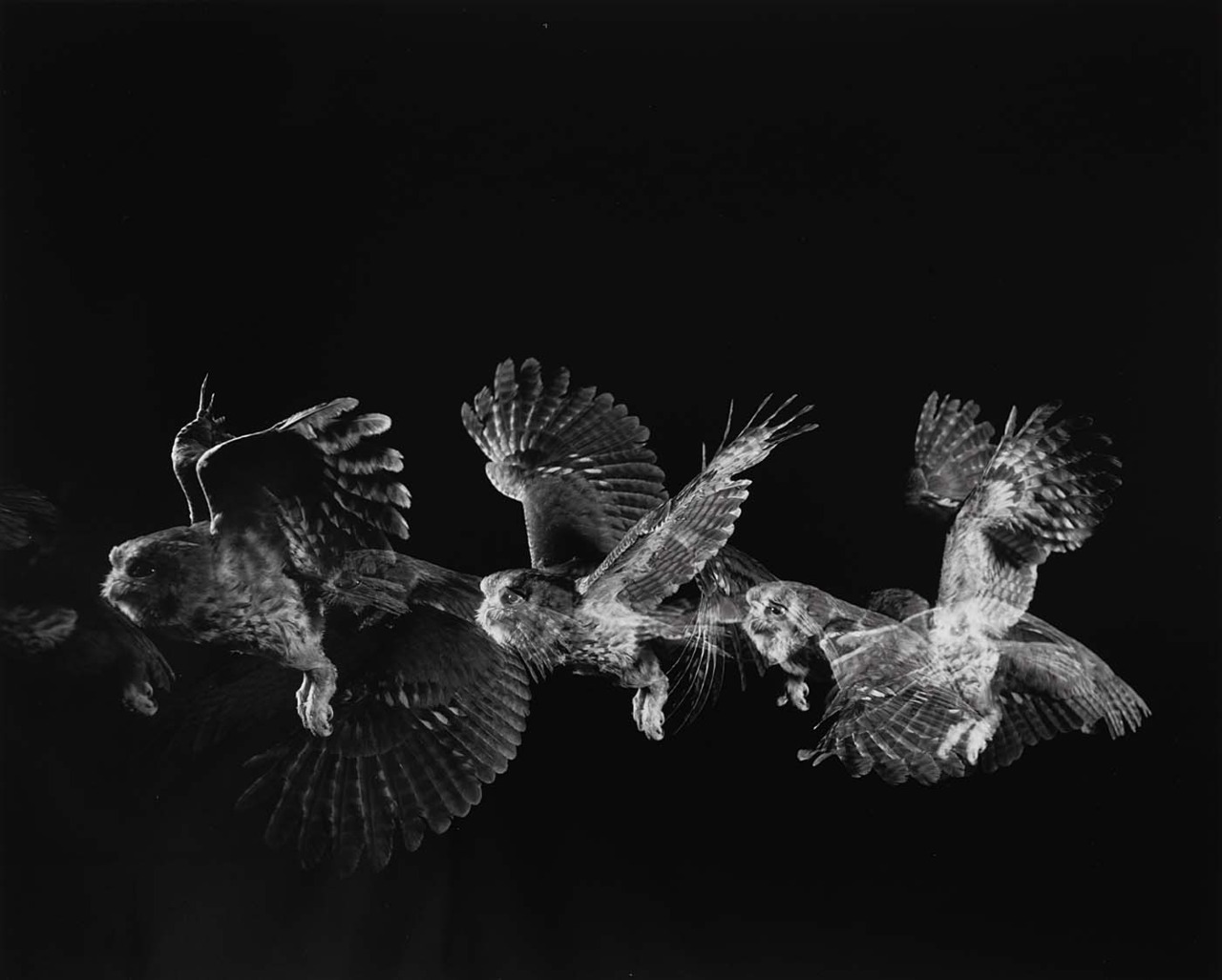 Anthony Luke's notjustanotherphotoblog Blog Photographer Profile