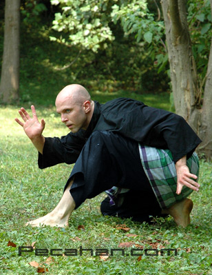Martial Arts Digest: About Silat