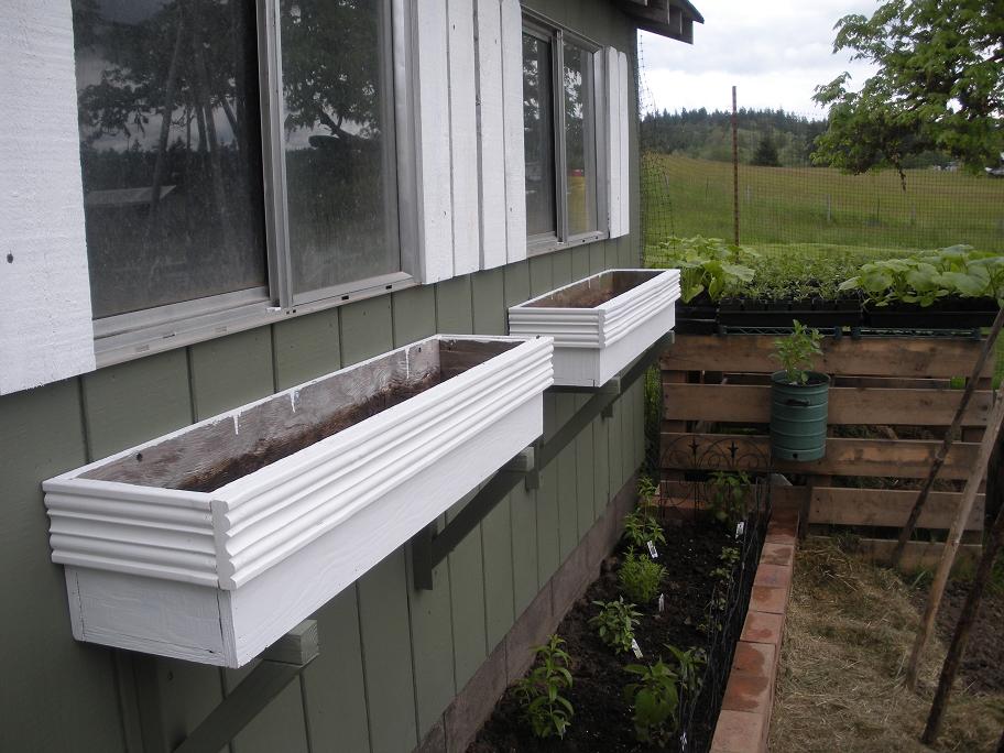 Lady Farmer's Garden Planting a Tea Garden